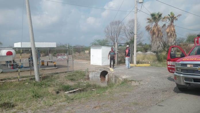 Detectan oso negro Detectan oso negro