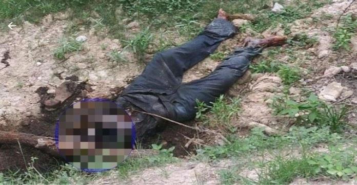 EN ZARAGOZA HALLA PASTOR UN CADÁVER EN ZARAGOZA HALLA PASTOR UN CADÁVER