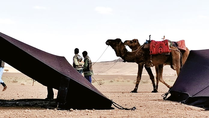 Monclovense corre maratón en el desierto del Sahara