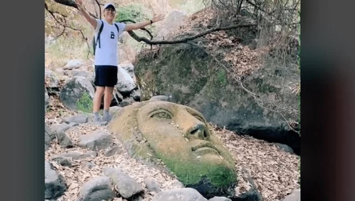 Encuentran cabezas gigantes en bosque de Querétaro
