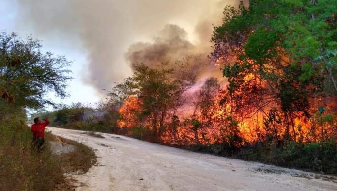 Poderoso incendio consume selvas de Quintana Roo y Campeche