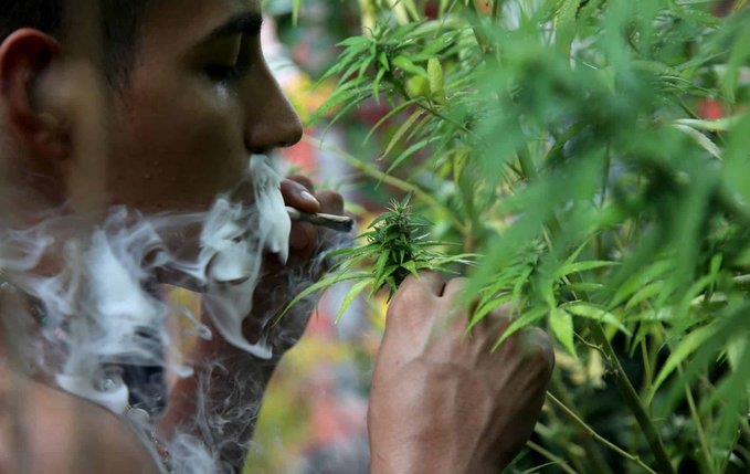Ilegal penalizar posesión de mariguana por más de 5 gramos; SCJN