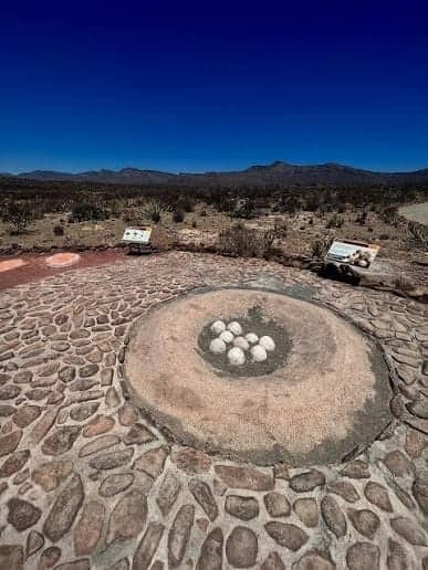 Coahuila se posiciona s&eacute;ptimo en paleontolog&iacute;a mundial