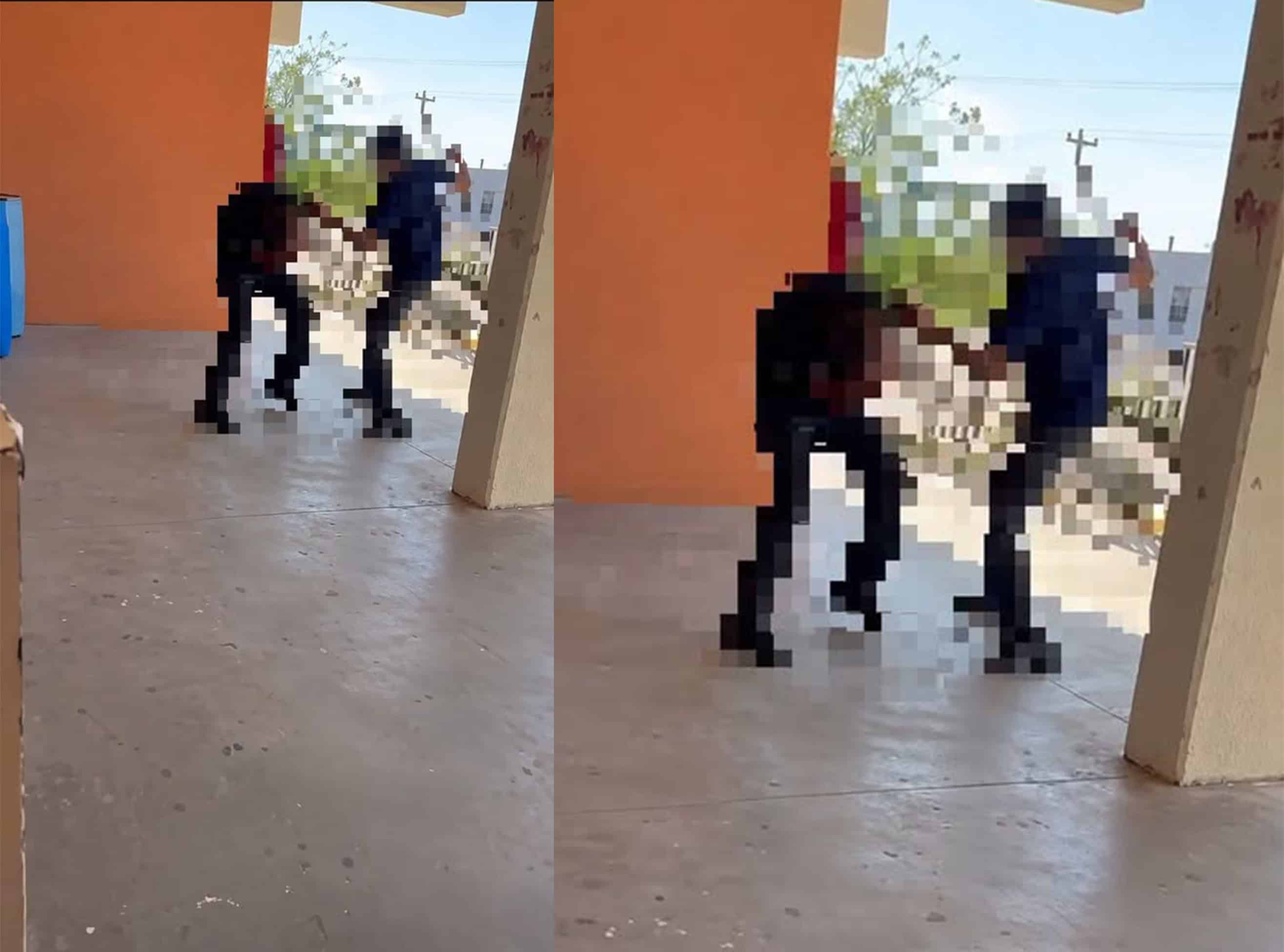 Amenaza en redes moviliza a polic&iacute;as en el CBTis 34; la supuesta pelea nunca ocurri&oacute;