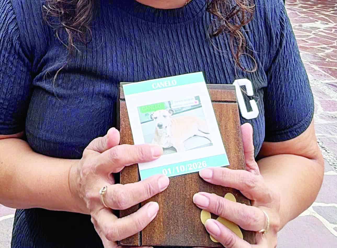 Llevan mascotas a iglesia en cenizas