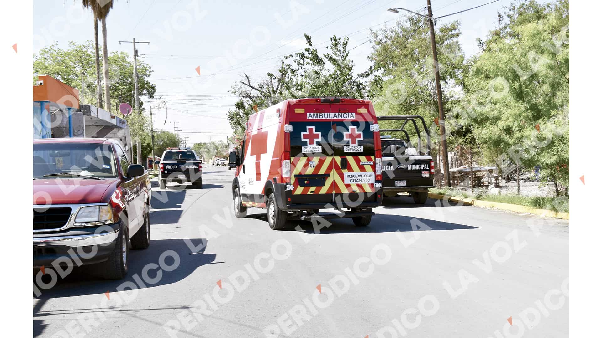 Ni&ntilde;o sufre mordida de perro en Monclova