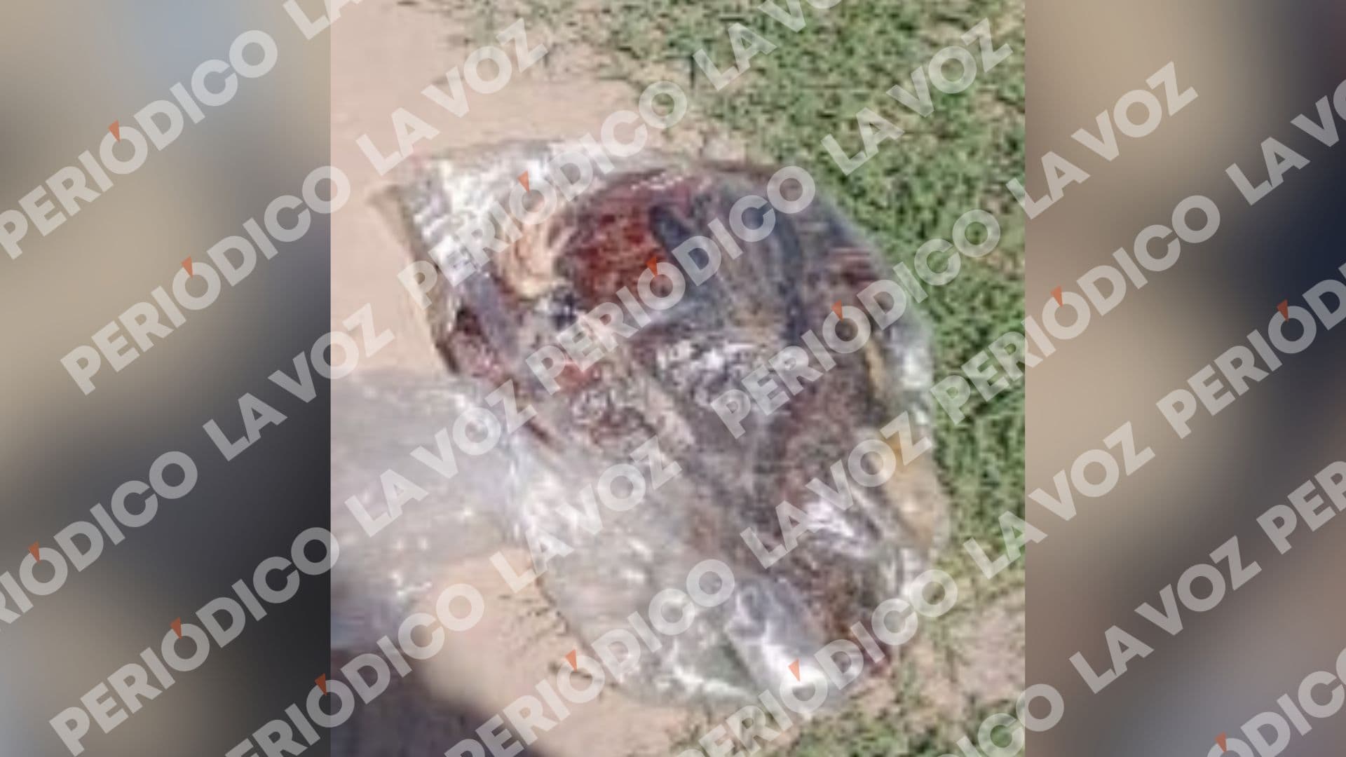 Hallan gallo embolsado y sacrificado y objetos para brujer&iacute;a en pante&oacute;n Guadalupe