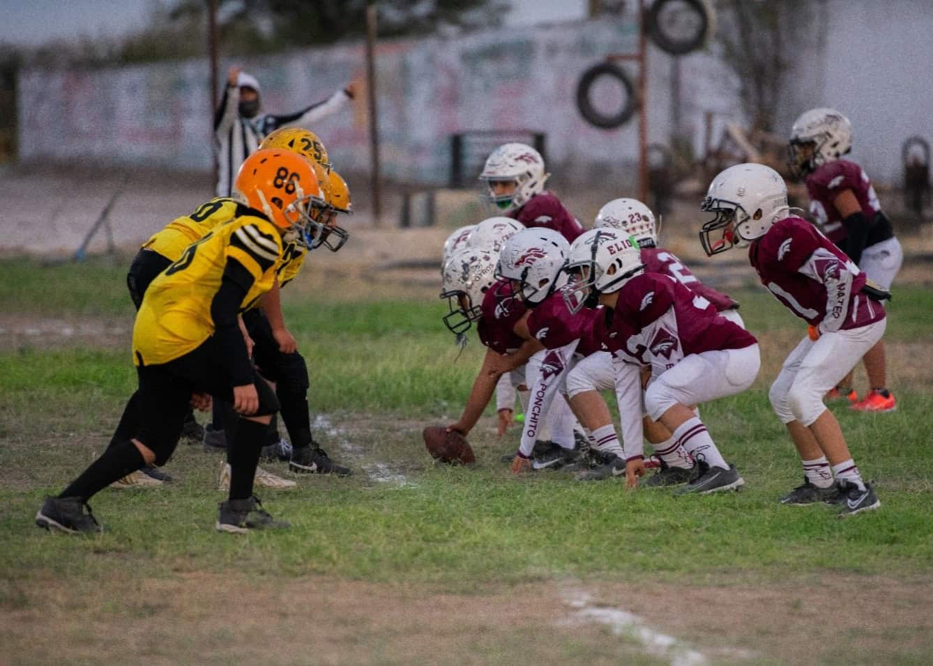 Club Potros logra tres victorias en Sabinas: AFAINC 2026