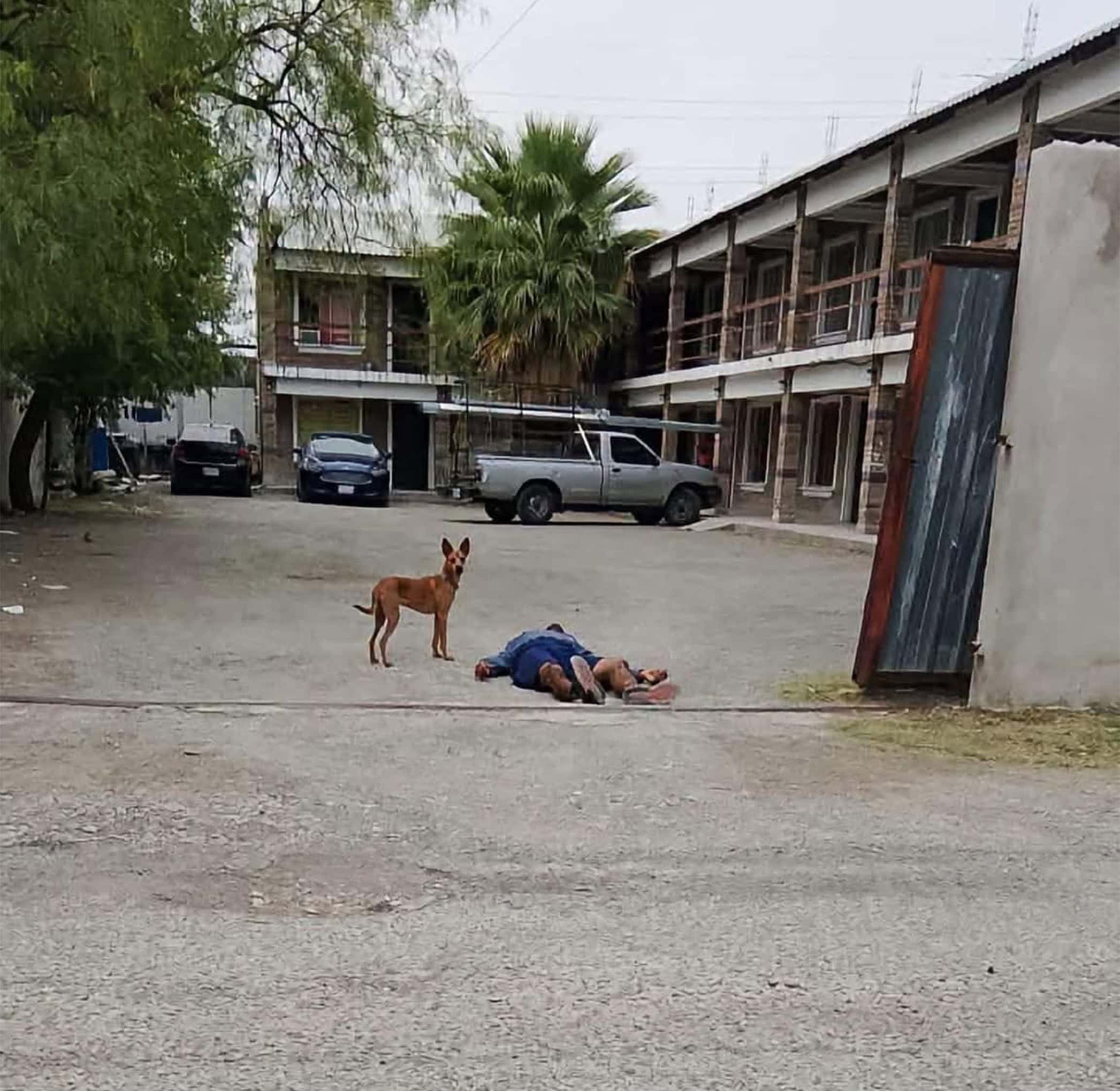 Moviliza a polic&iacute;as falsa alarma de hombre sin vida en Piedras Negras