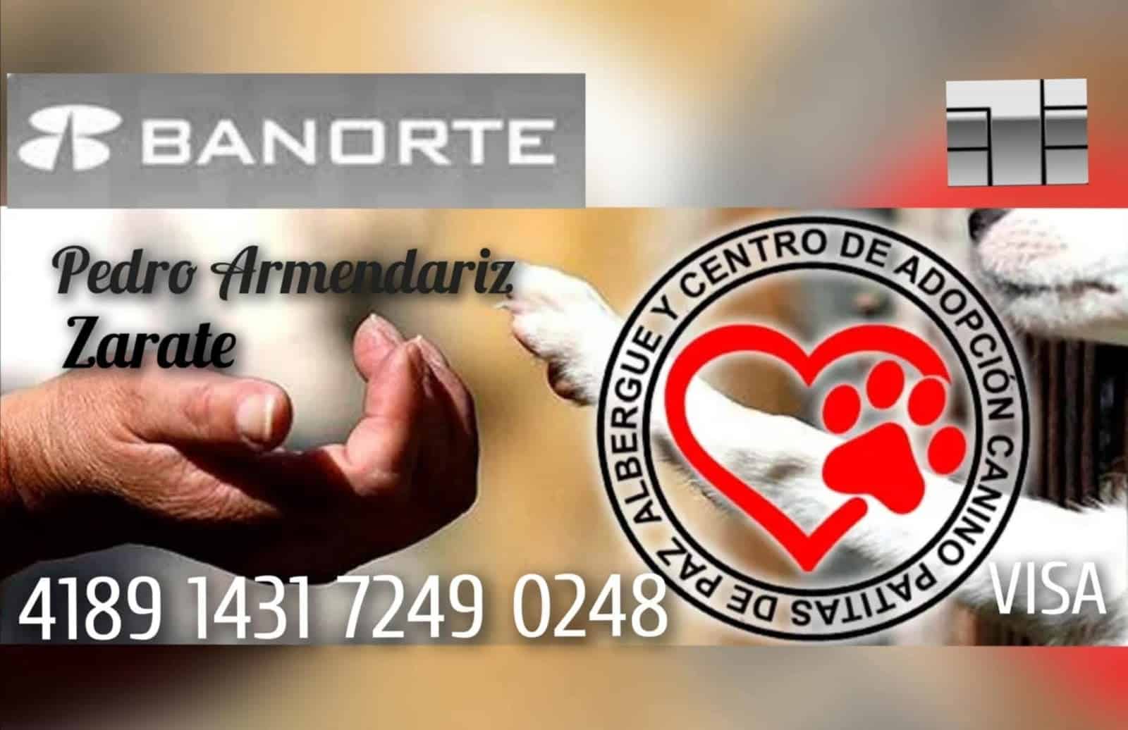 Rescatista Pedro Armend&aacute;riz hospitalizado: pide apoyo para sus mascotas