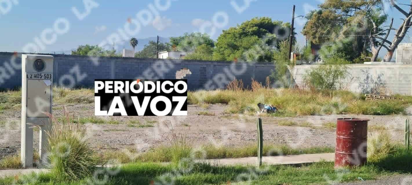 Pegan por segunda vez propiedad de Susana Zabaleta