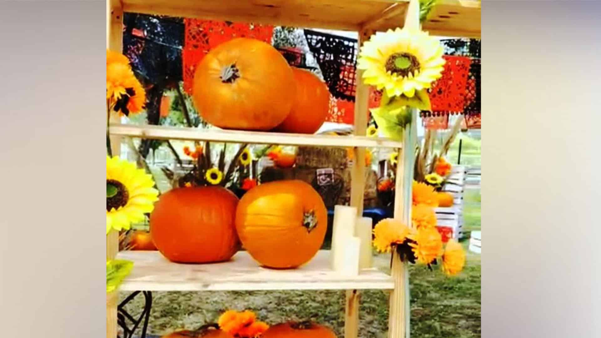 Carlos Villarreal reporta m&aacute;s de 70 mil asistentes en Festival de la Calabaza