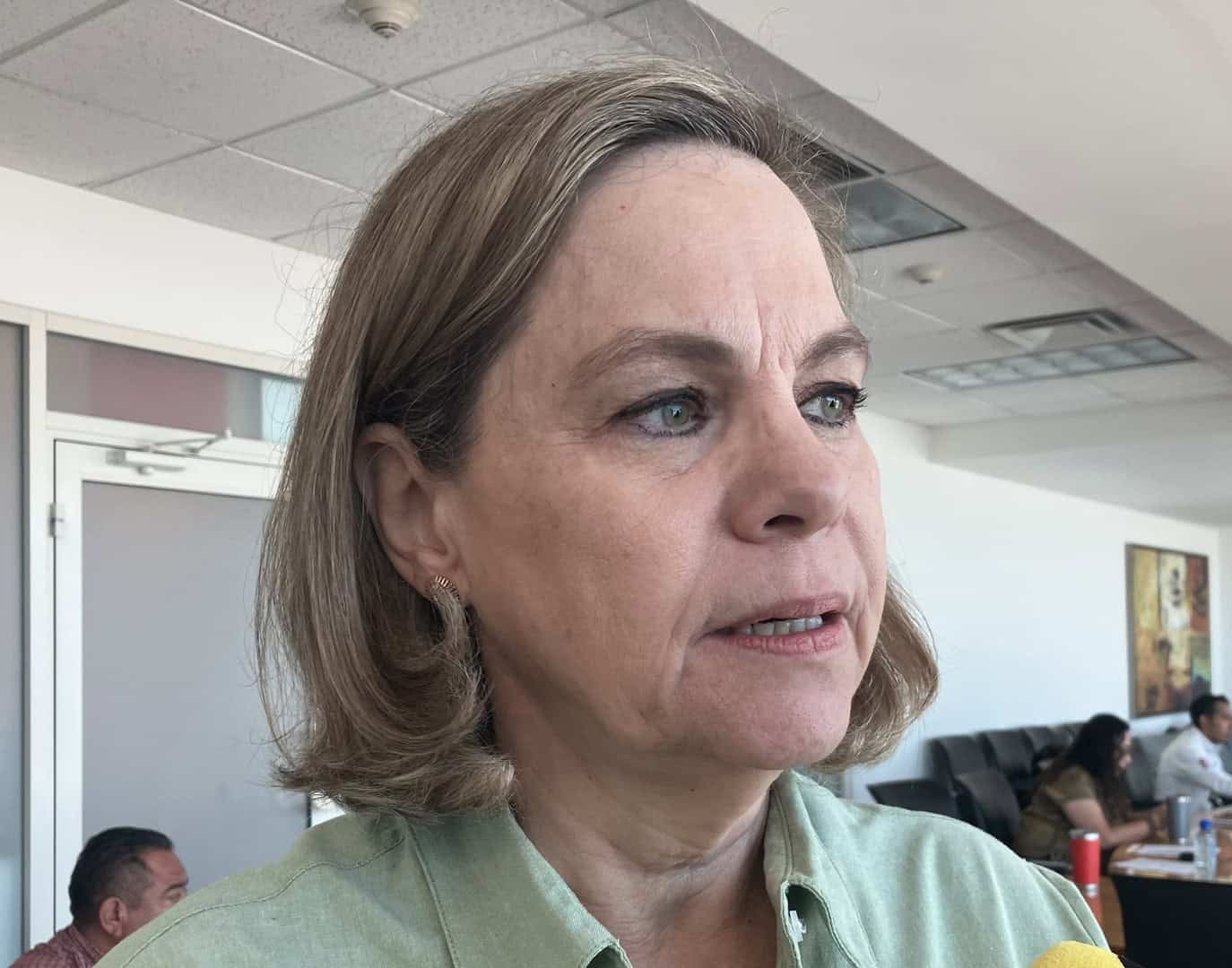 Llaman a automovilistas a cuidar mariposas monarca en Coahuila