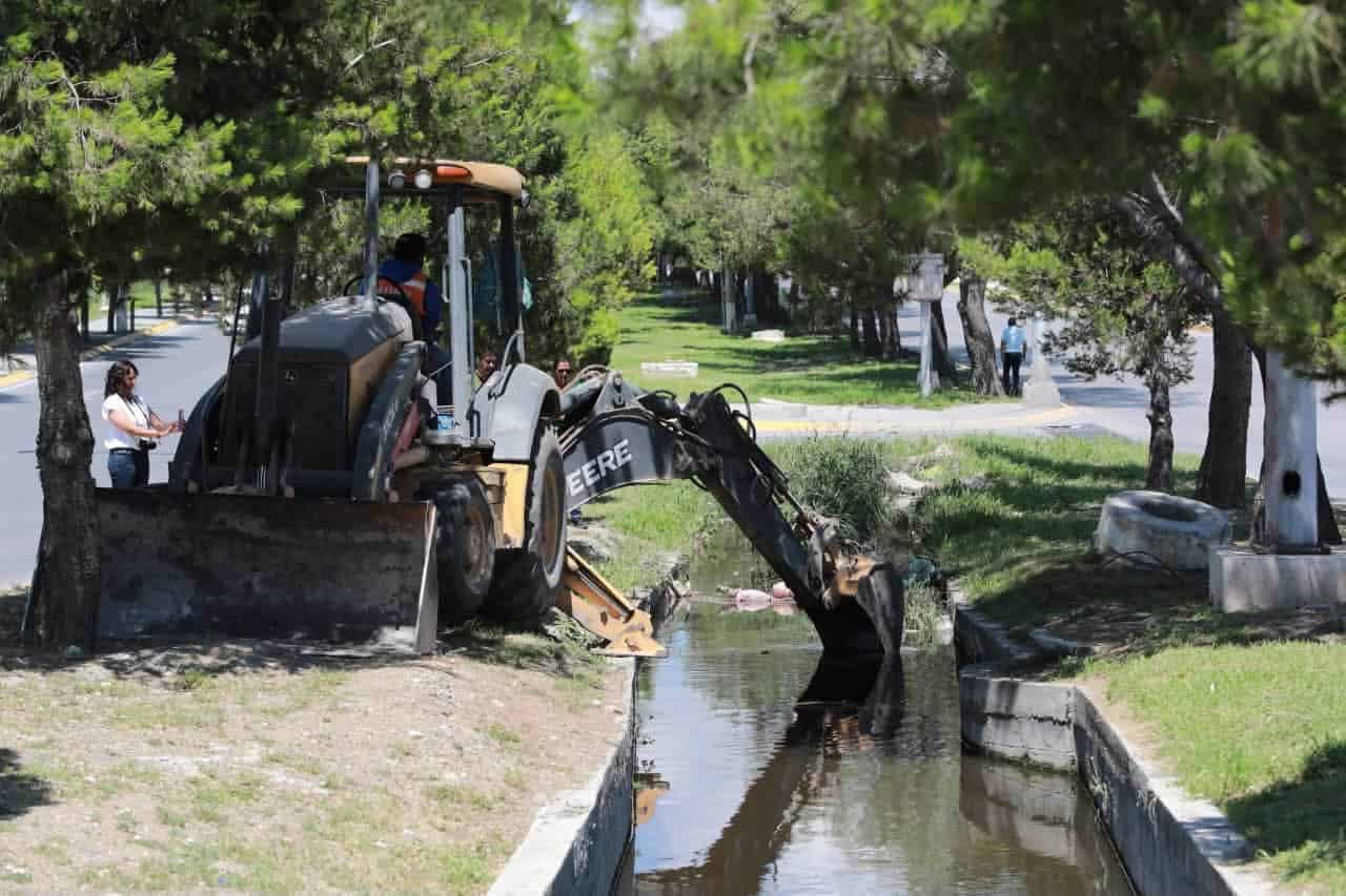 Saltillo: Retiro de árboles y reforestación en la temporada de invierno Saltillo: Retiro de árboles y reforestación en la temporada de invierno