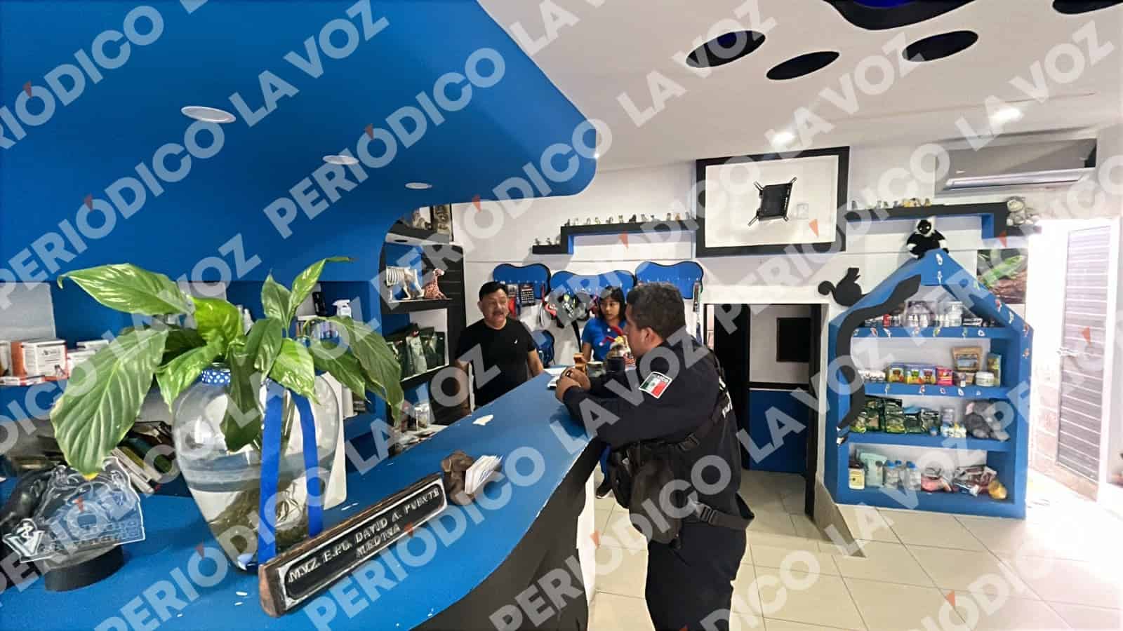 Delincuentes roban equipo en veterinaria de Monclova