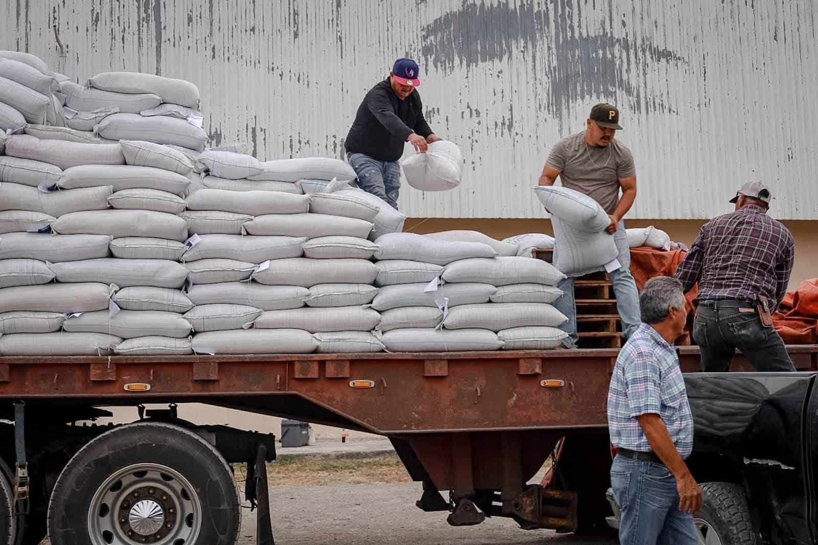 Productores agropecuarios de Allende reciben semilla de avena para sus cultivos Productores agropecuarios de Allende reciben semilla de avena para sus cultivos